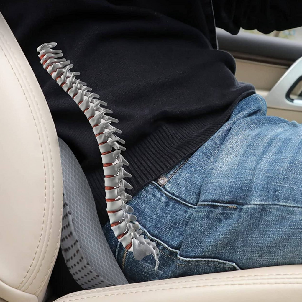 Versione Pro Cuscino Rialzato per Seggiolino Auto per Maggiore Comfort di Guida