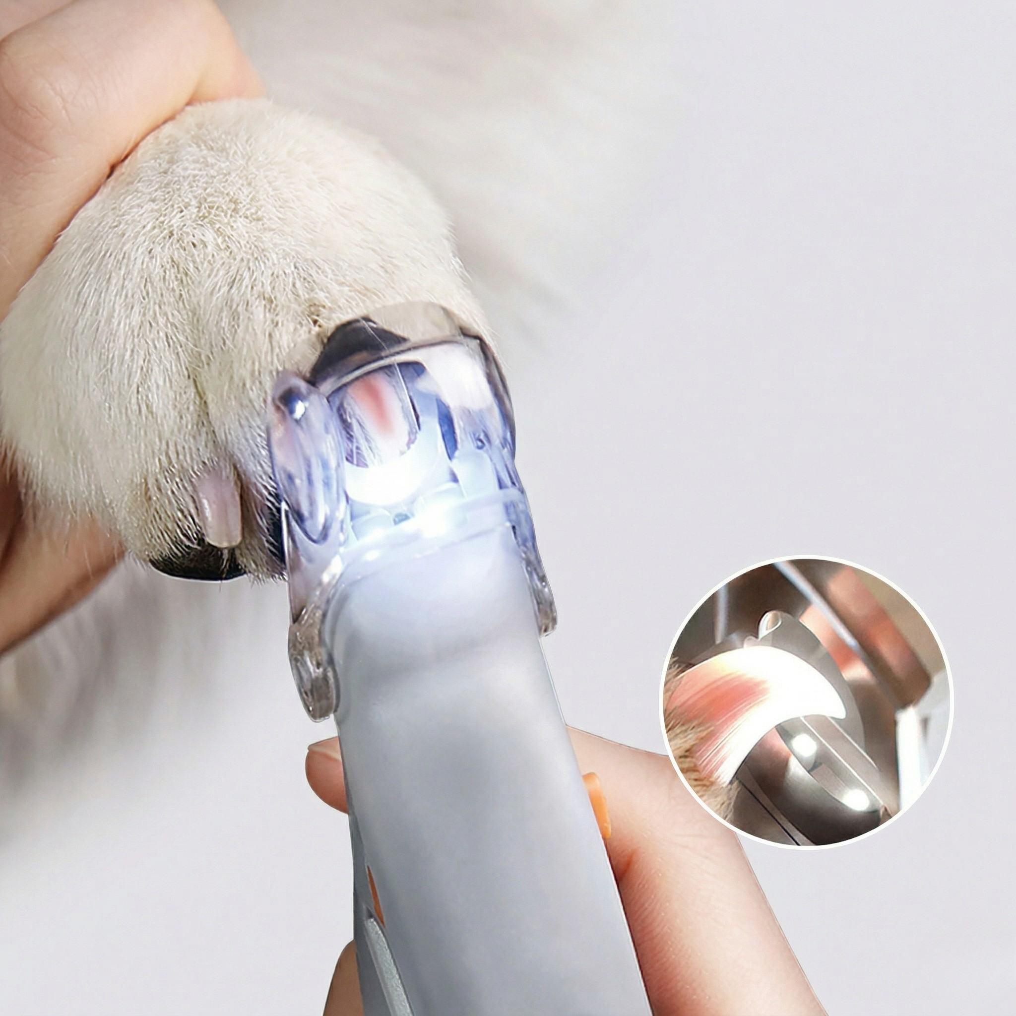 Taglia Unghie per Animali Domestici Strumento Grooming