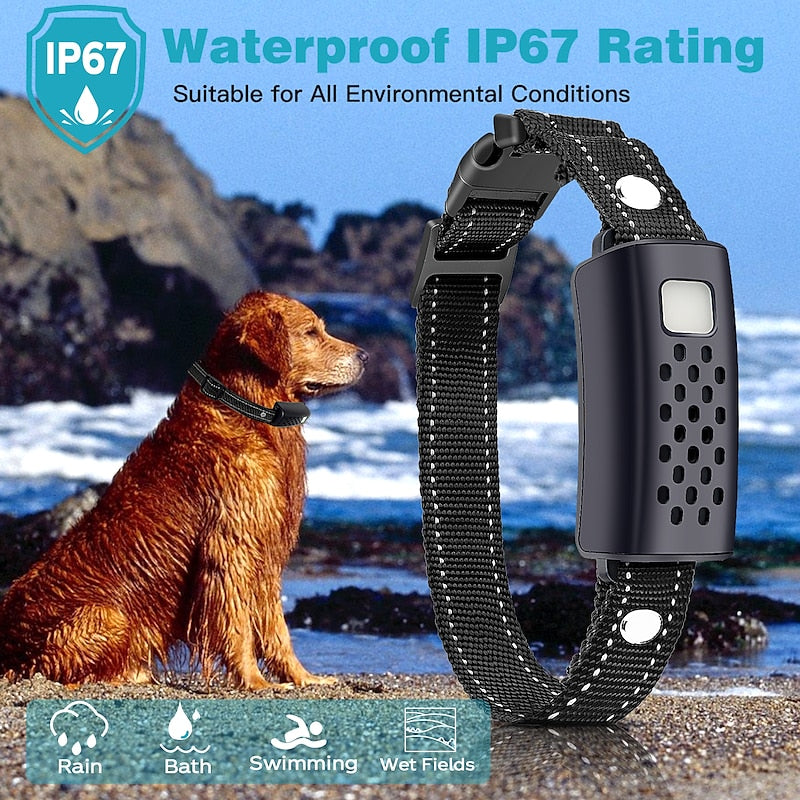 Collare di Addestramento AstraGuard Pro per Cani con Portata di 2000m
