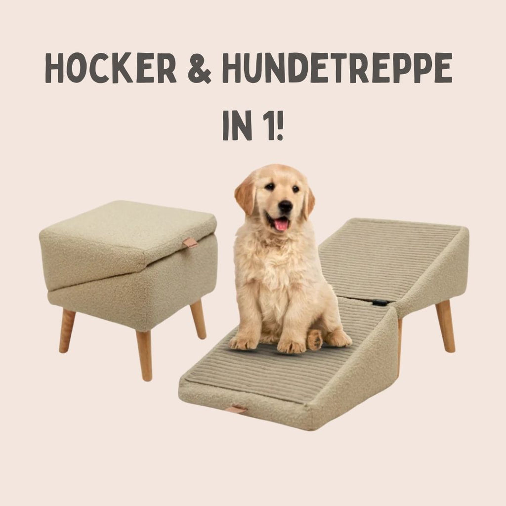 Scala per cani per letto e divano | Rampetta e pouf in uno | SofaFreund