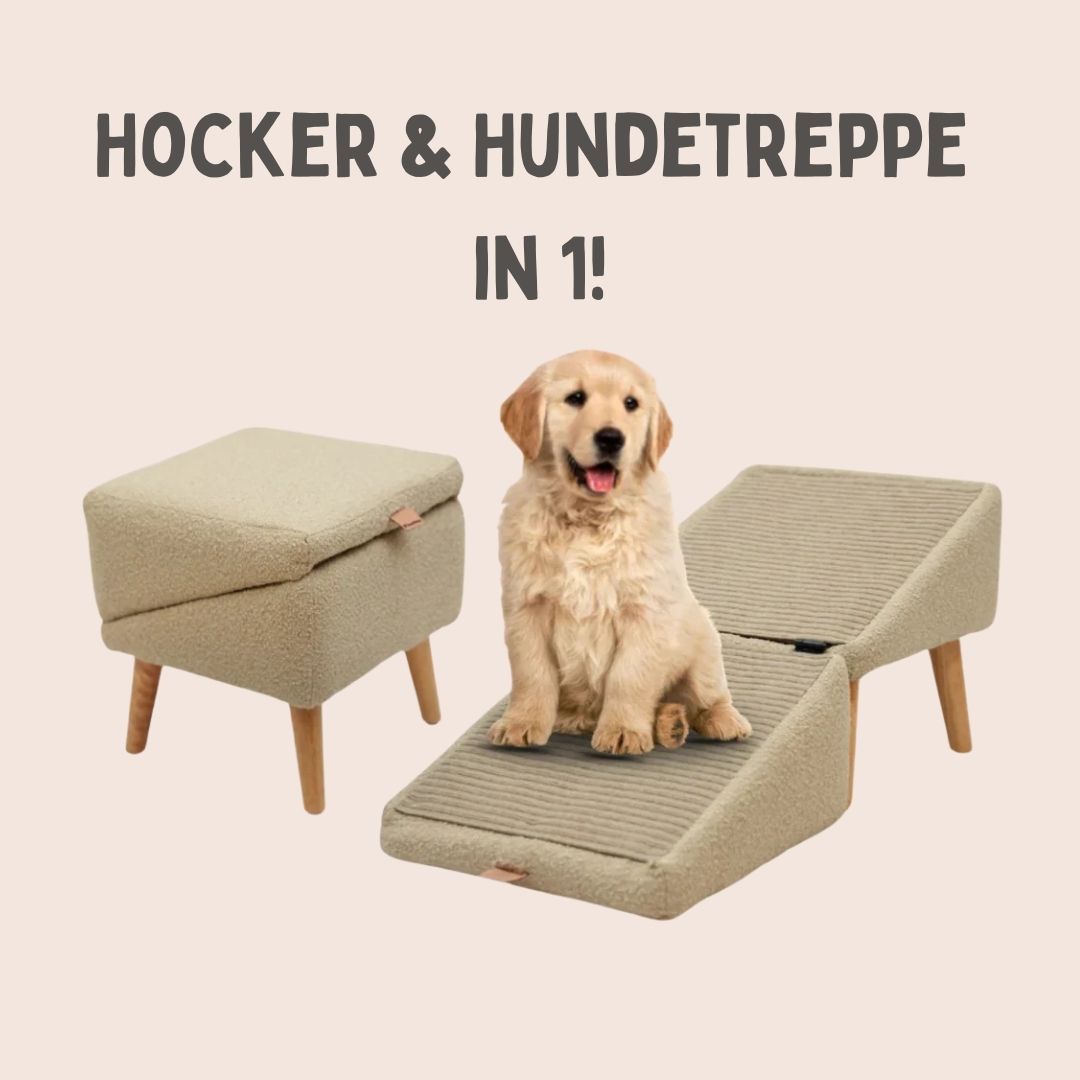 Scala per cani per letto e divano | Rampetta e pouf in uno | SofaFreund