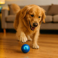 Giocattolo per cani | Giocattolo interattivo per cani | WuffBall