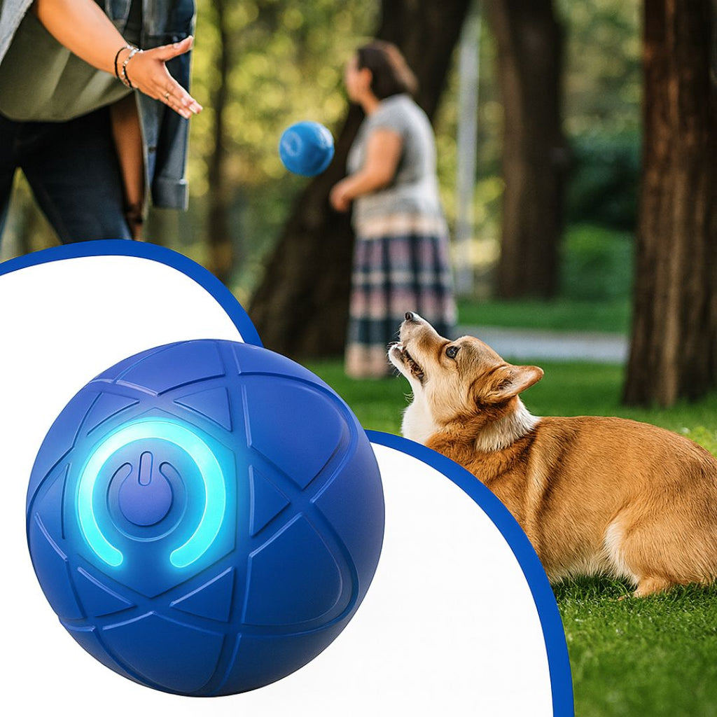 Giocattolo per cani | Giocattolo interattivo per cani | WuffBall