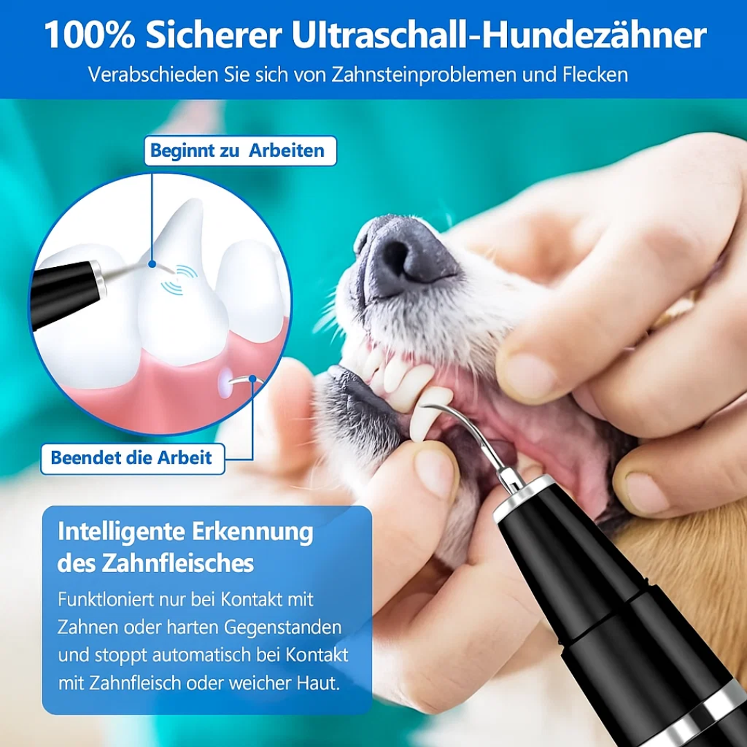 Rimozione del tartaro per cani e gatti | Cura dentale per animali domestici | Pulitore per denti | PlaqueFrei